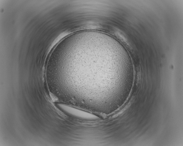 X0000081451178200701261905