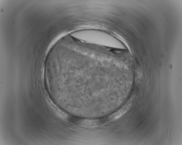 X0000081451179200701261905