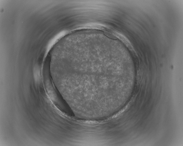 X0000081451180200701261905