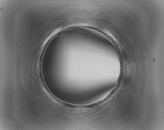 X0000081451181200701261905