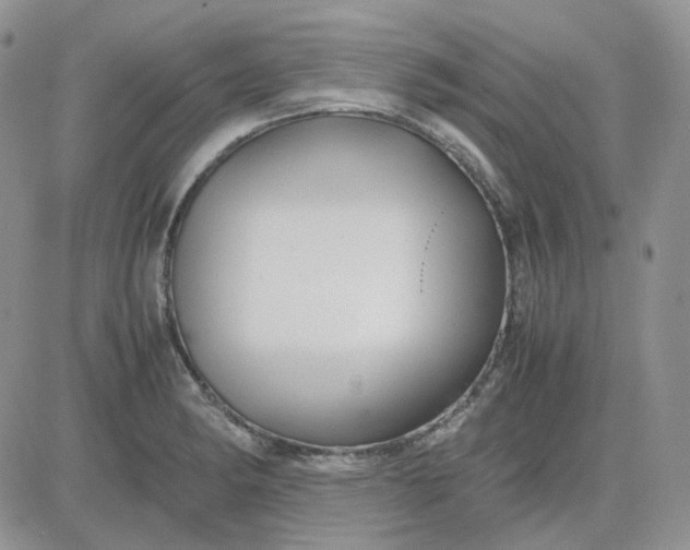 X0000081451182200701261905