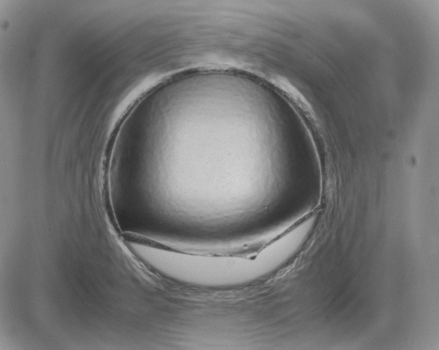 X0000081451183200701261905