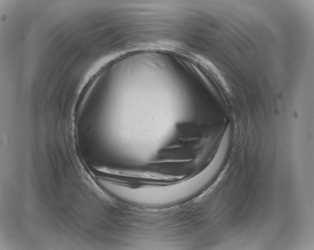 X0000081451184200701261905