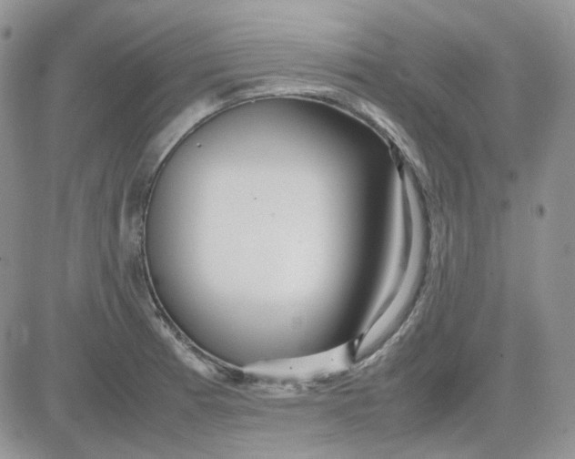 X0000081451185200701261905