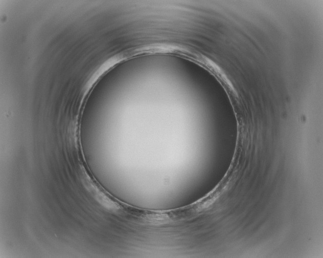 X0000081451186200701261905