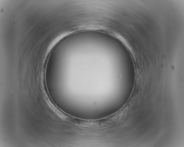 X0000081451187200701261905