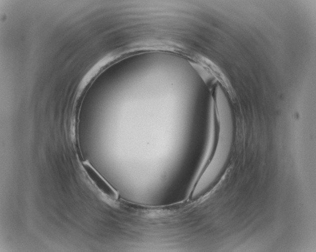 X0000081451188200701261905