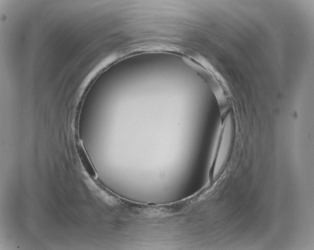 X0000081451189200701261905