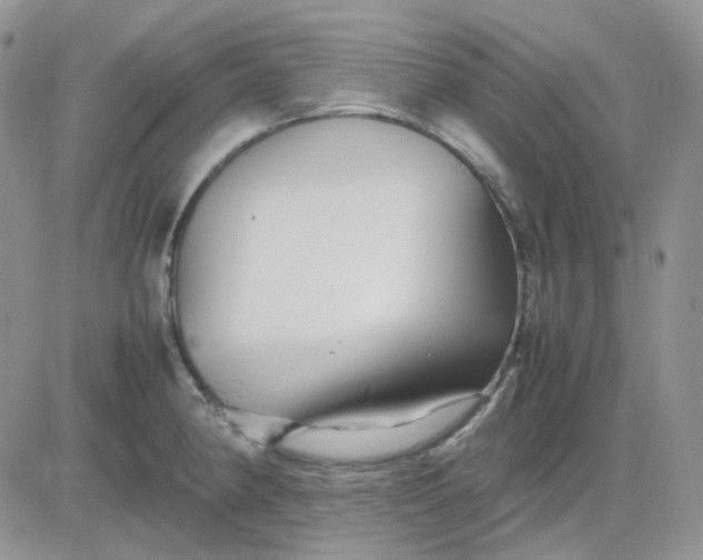 X0000081451190200701261905