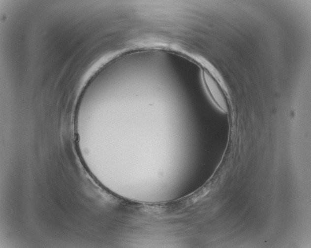 X0000081451191200701261905