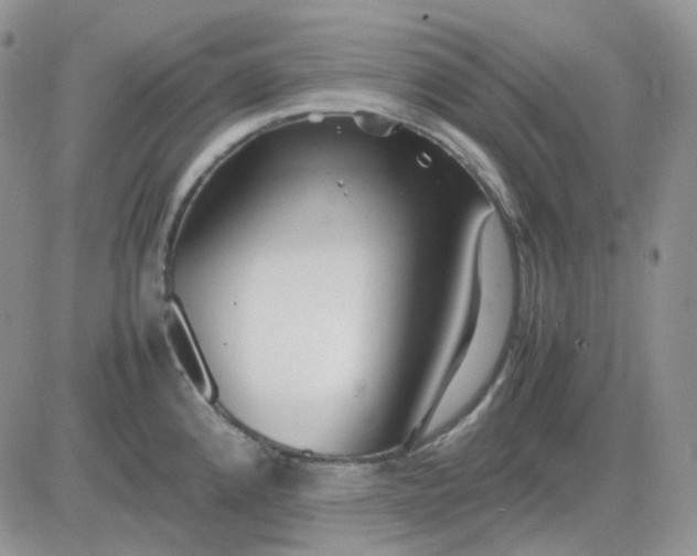 X0000081451192200701261905