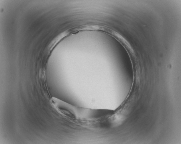 X0000081451193200701261905