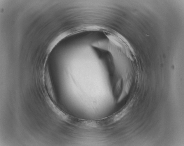 X0000081451194200701261905