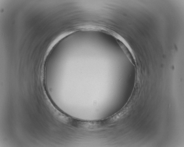 X0000081451195200701261905