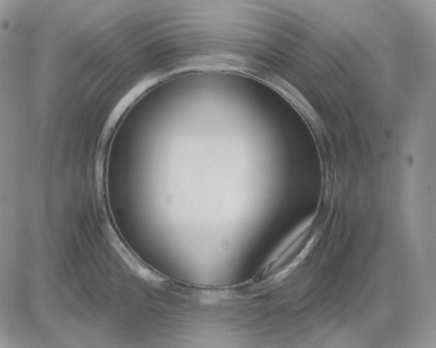 X0000081451196200701261905