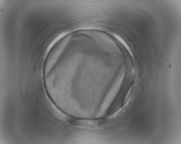 X0000081451197200701261905