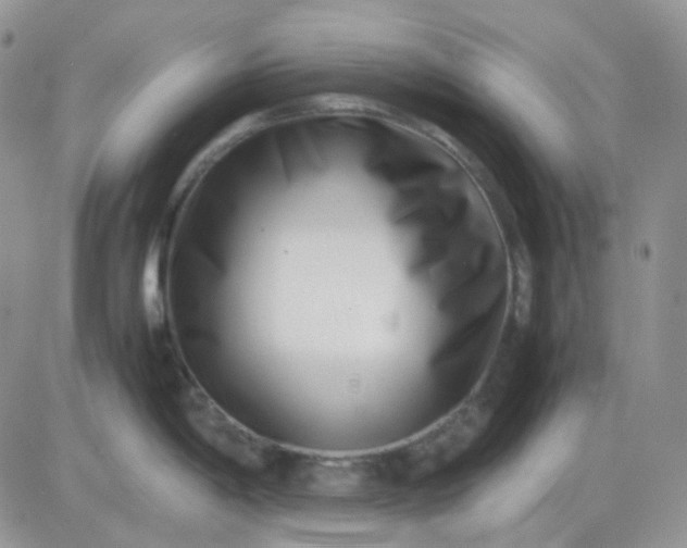 X0000081451198200701261905