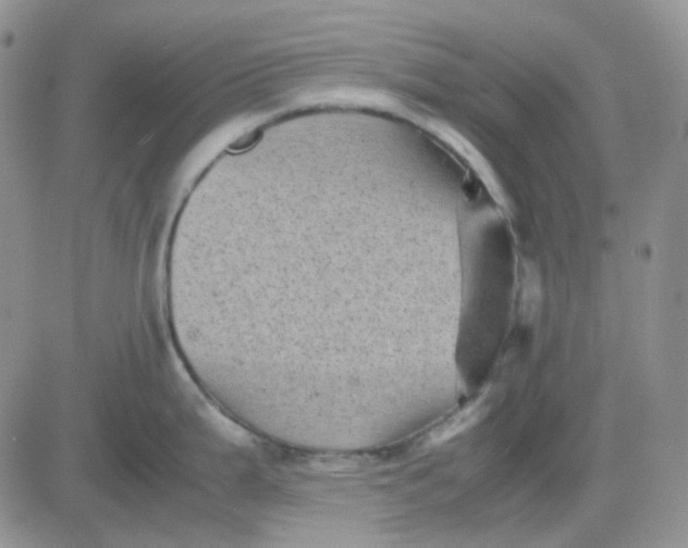 X0000081451199200701261905