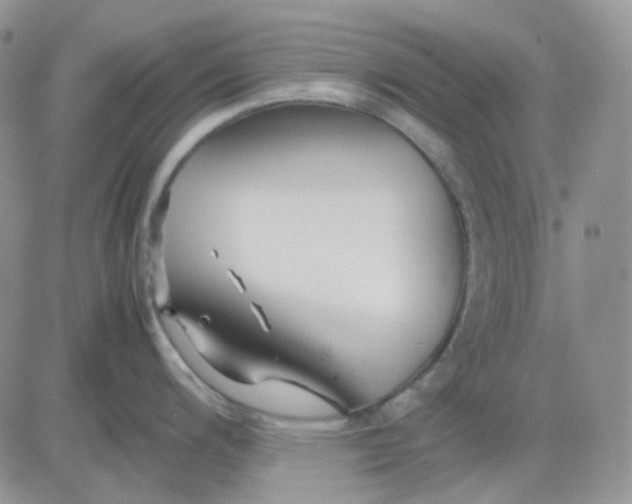 X0000081451200200701261905