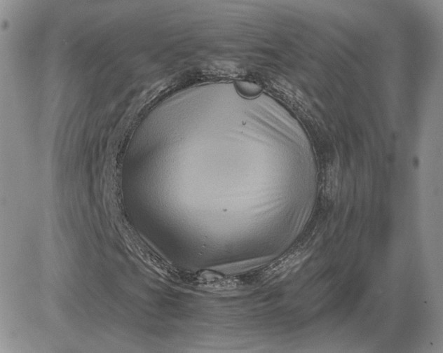 X0000081451201200701261904