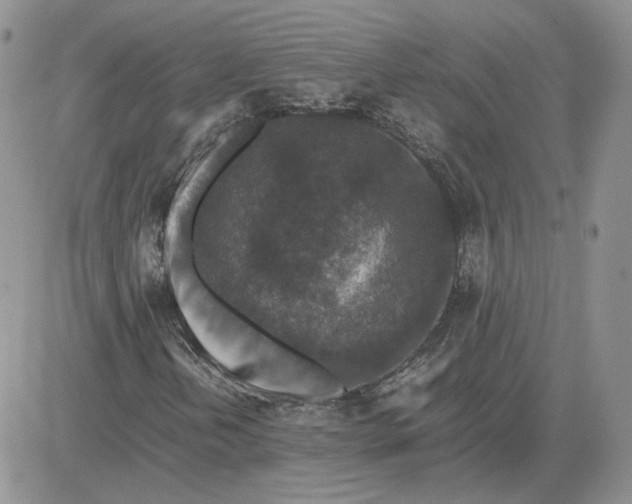 X0000081451202200701261904