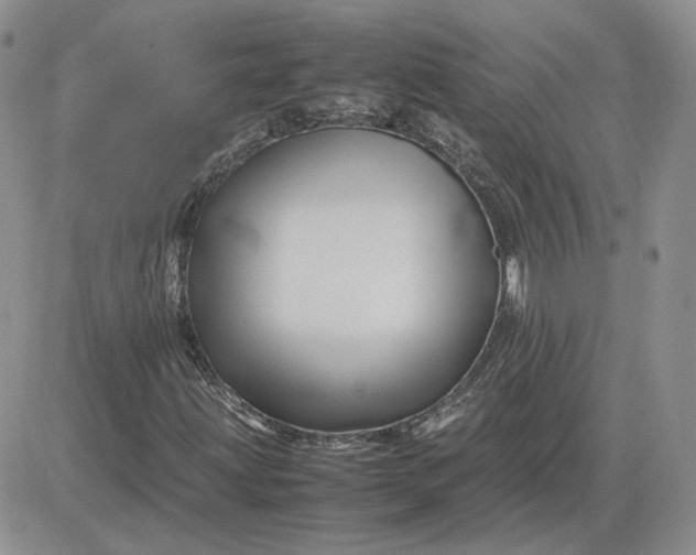 X0000081451203200701261904