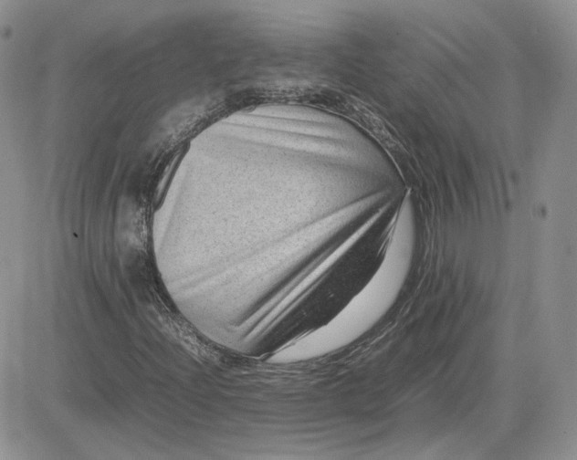 X0000081451204200701261904