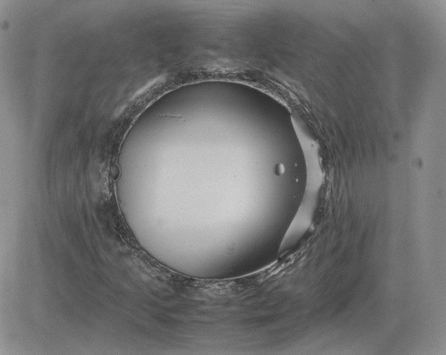 X0000081451205200701261904