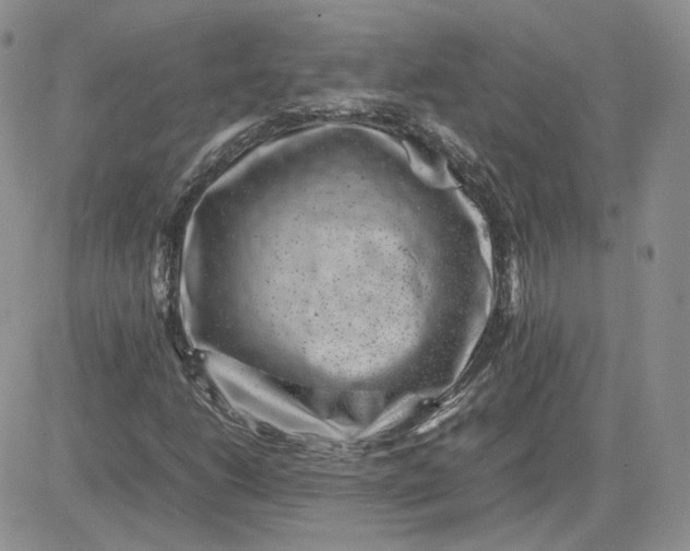 X0000081451206200701261904