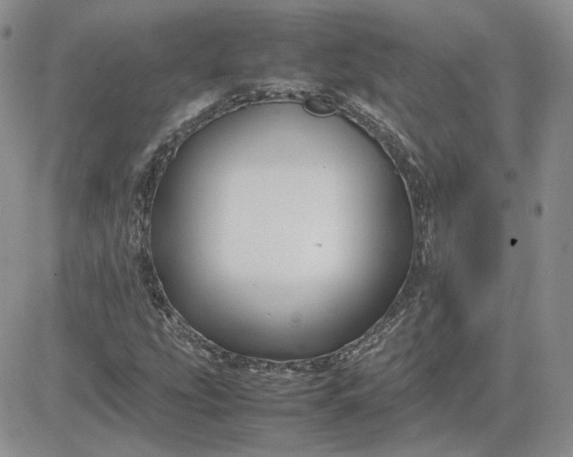 X0000081451207200701261904