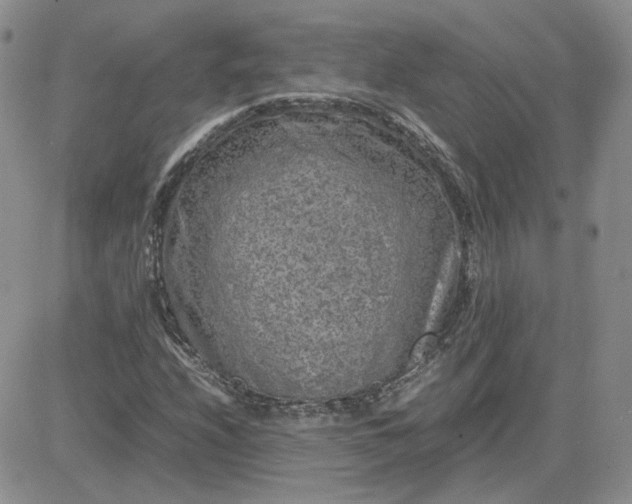 X0000081451208200701261904