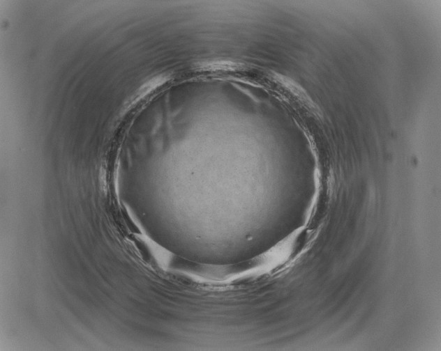 X0000081451209200701261904