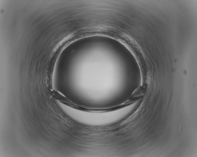 X0000081451210200701261904