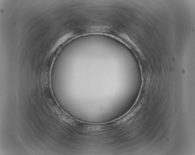 X0000081451211200701261904