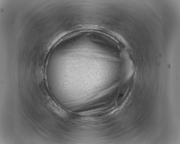 X0000081451212200701261904