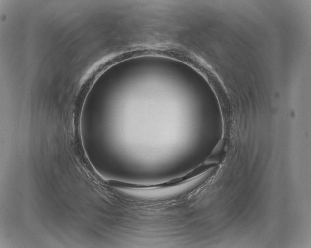 X0000081451214200701261904