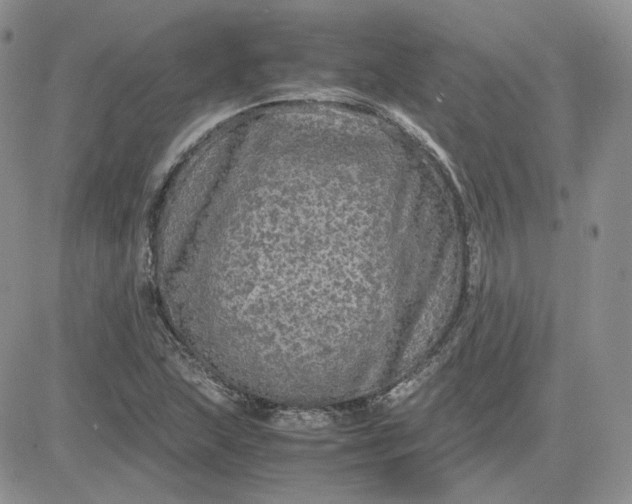 X0000081451215200701261904