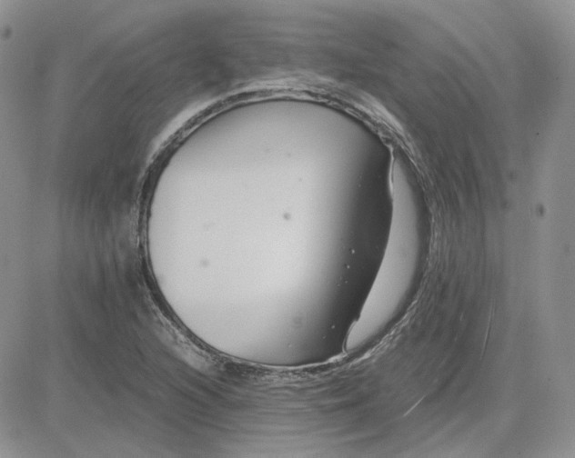 X0000081451216200701261904