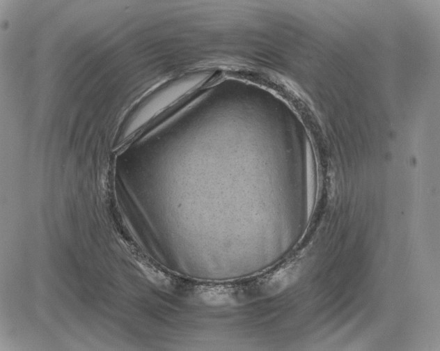 X0000081451217200701261904