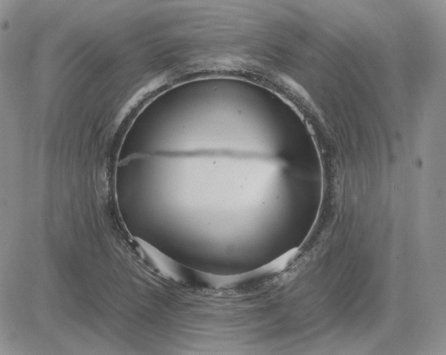 X0000081451218200701261904