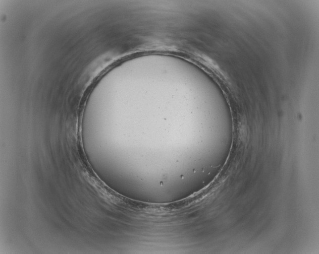 X0000081451220200701261904