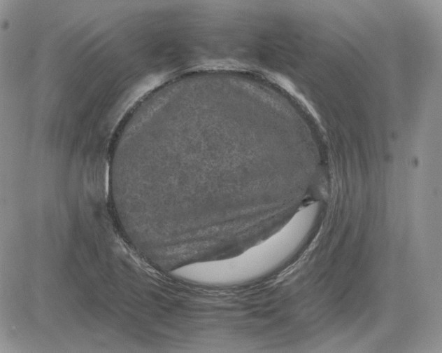 X0000081451221200701261904