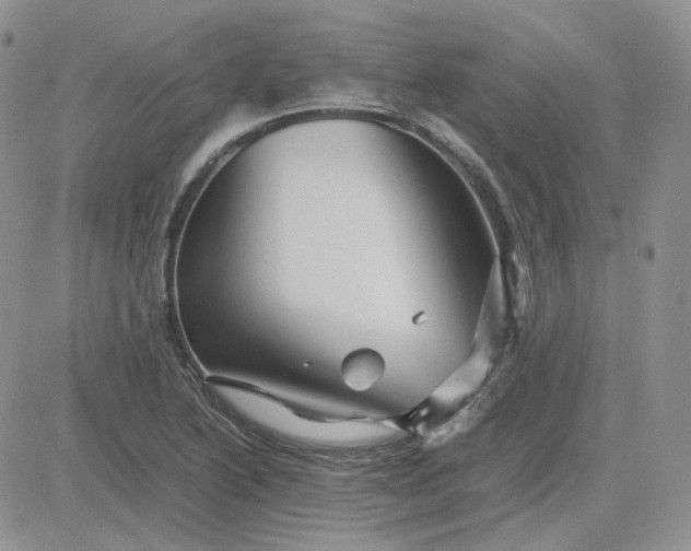 X0000081451222200701261904