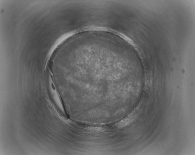 X0000081451223200701261904