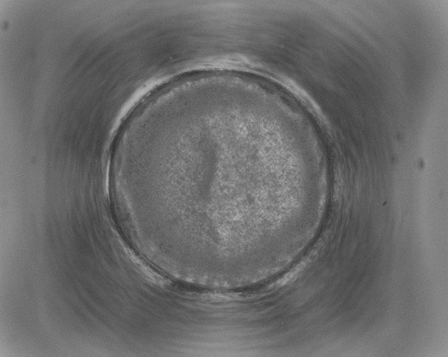 X0000081451224200701261904