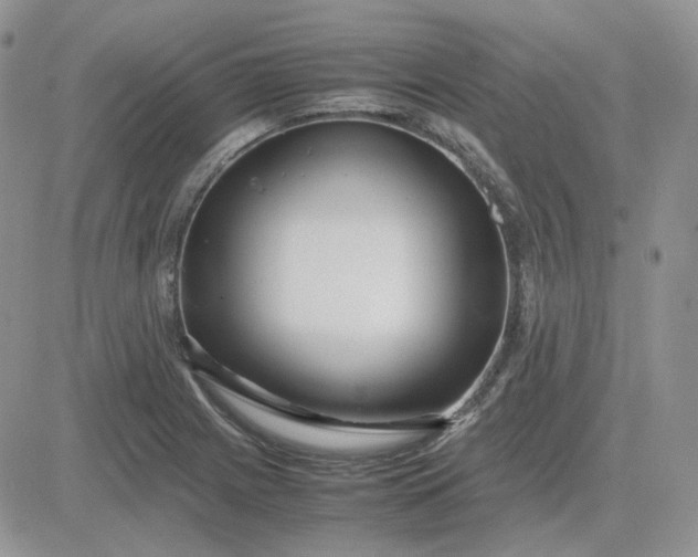 X0000081451225200701261904