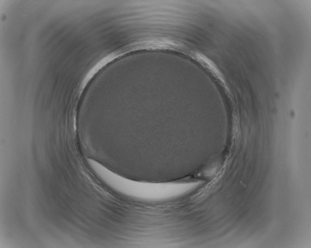 X0000081451226200701261904