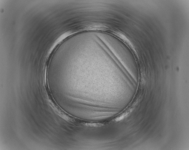 X0000081451227200701261904