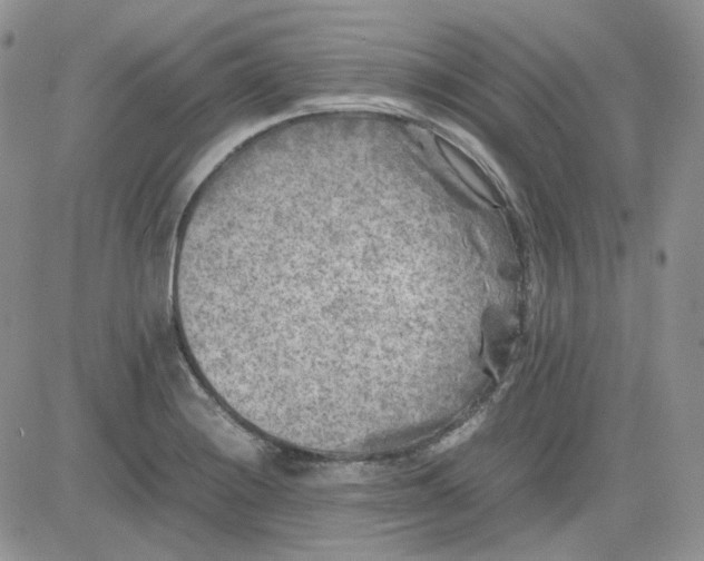 X0000081451228200701261904