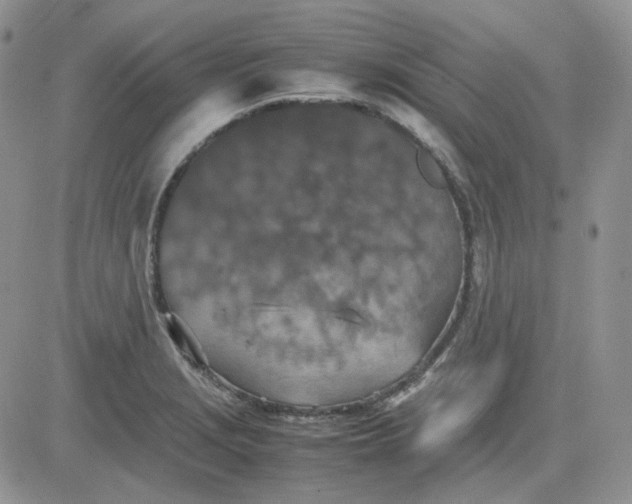 X0000081451229200701261904